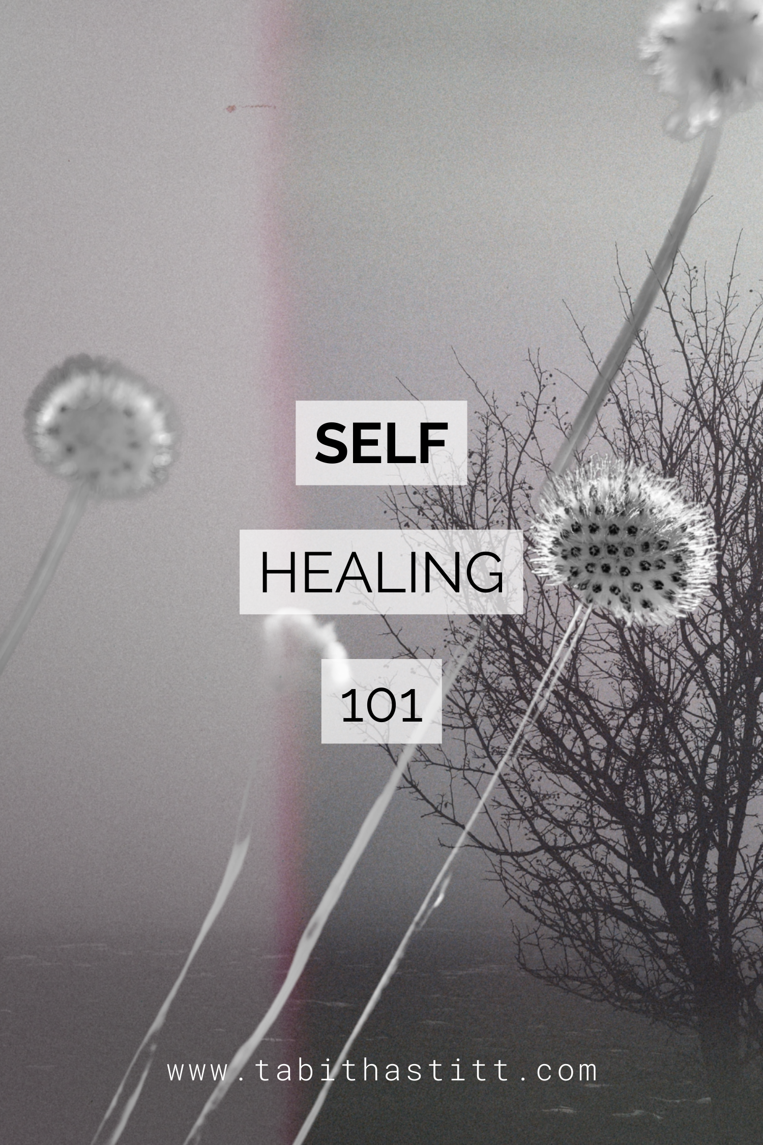 Self Healing 101 on The Empowering Psychic Podcast with Tabitha Stitt