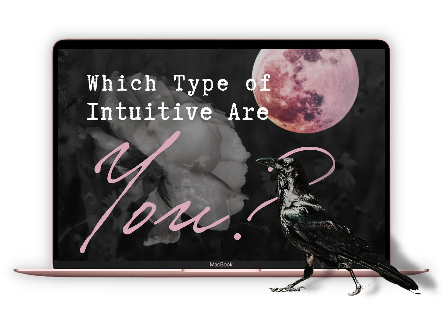 Quiz Which Type of Intuitive Are You? with Tabitha Stitt The Self-Help Psychic