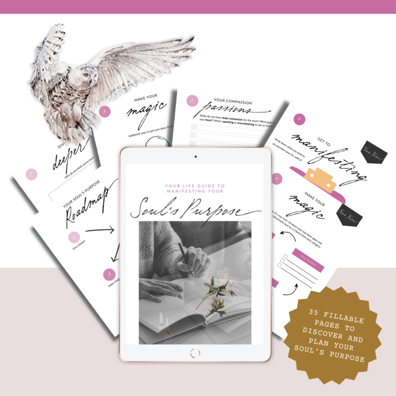 Represents an iPad for a magical guide about manifesting your soul's purpose with an owl for wisdom and self-knowledge