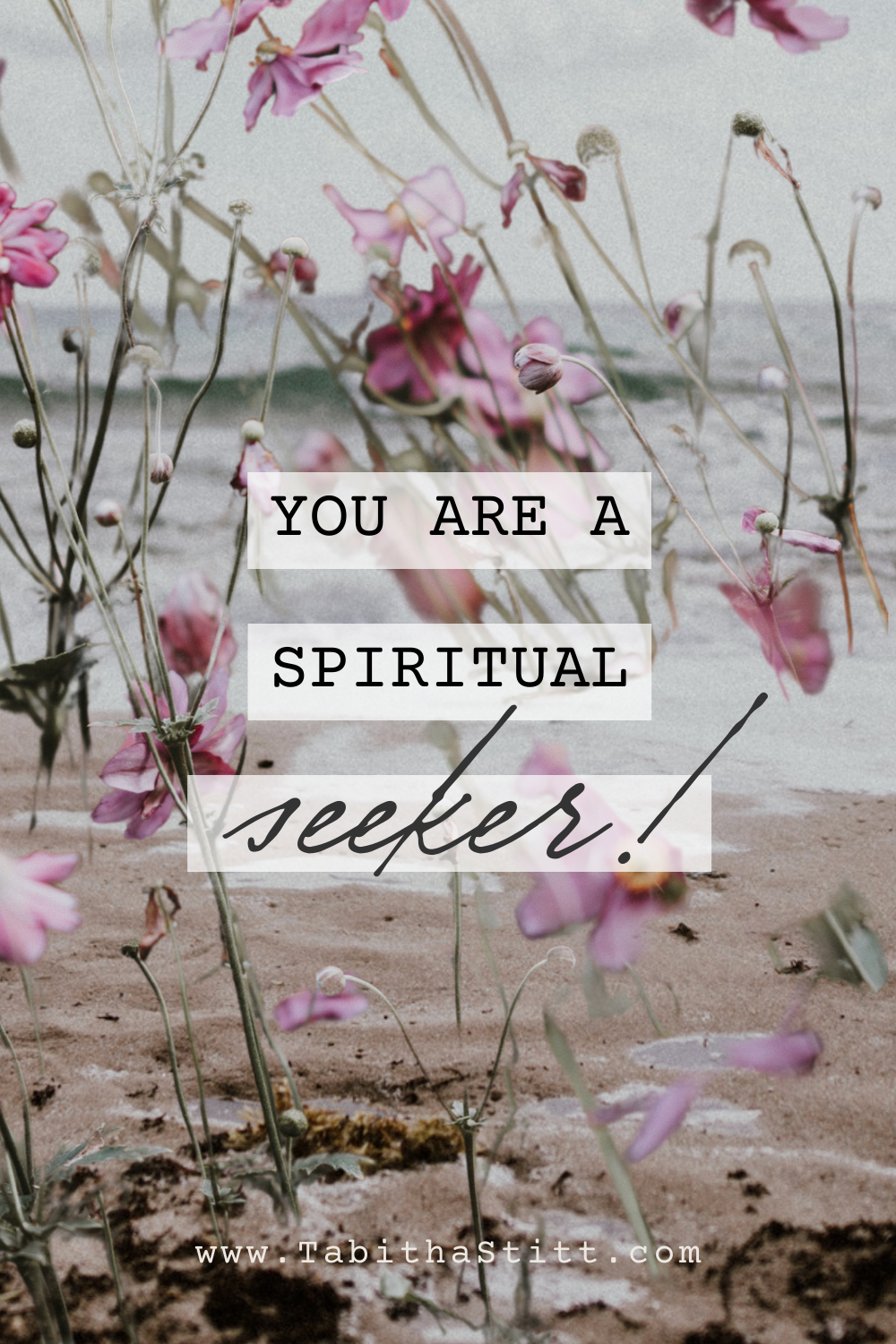 10 Ways to Know If You're on Your Spiritual Path - You Are A Spiritual Seeker - Flowers for Abundance