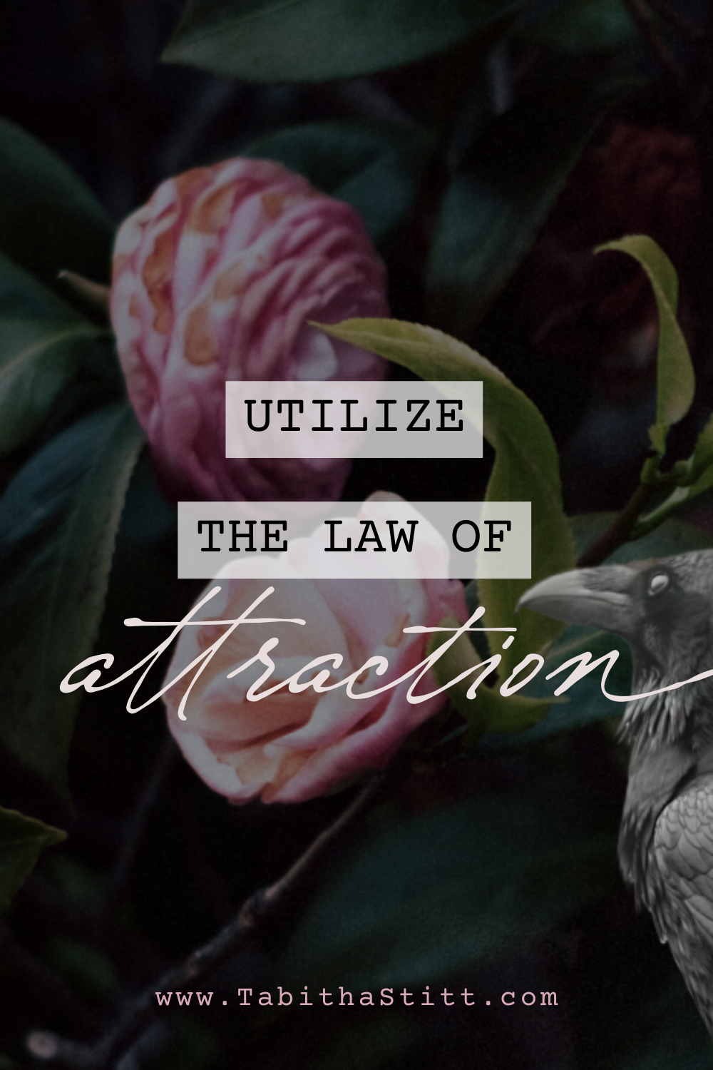 How to Trust Divine Timing for Manifestation, Utilize the law of attraction with pink flowers and crow to symbolize freedom