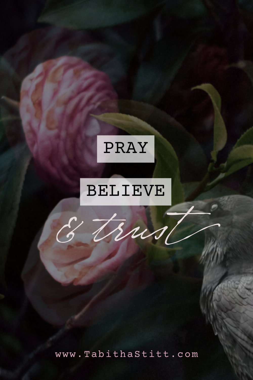 How to Trust Divine Timing for Manifestation Blog Pray Believe and Trust with Pink Flowers for a Peaceful Feeling