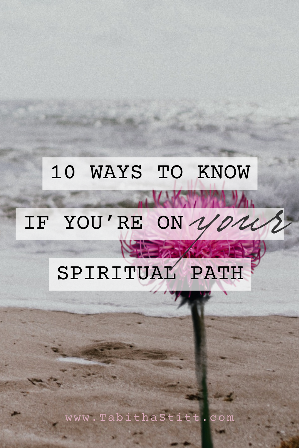 10 Ways to Know If You're on Your Spiritual Path with pink flower symbolizing faith and trust on your path forward