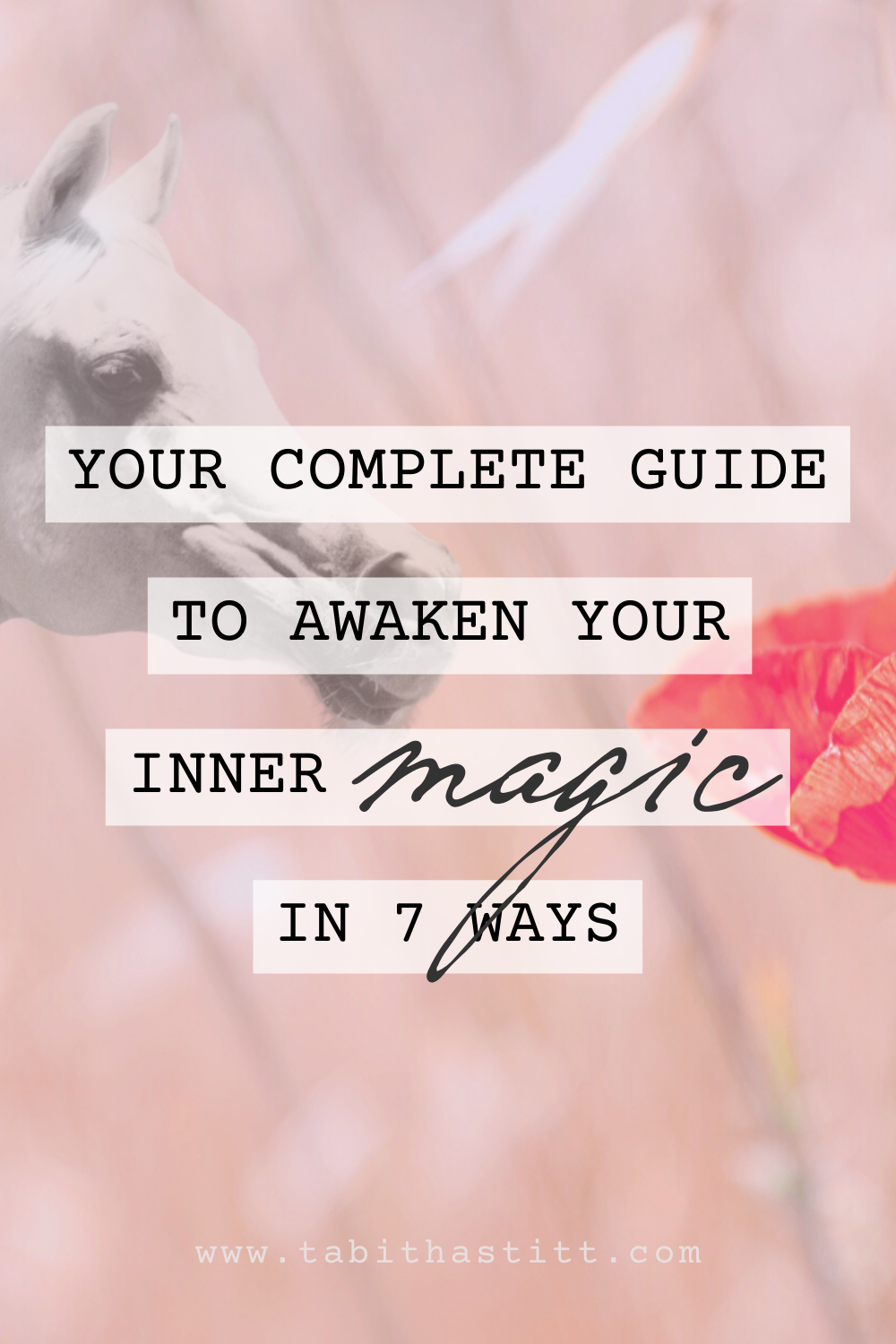 A White Horse Symbolizing Your Complete Guide to Awaken Your Inner Magic in 7 Ways