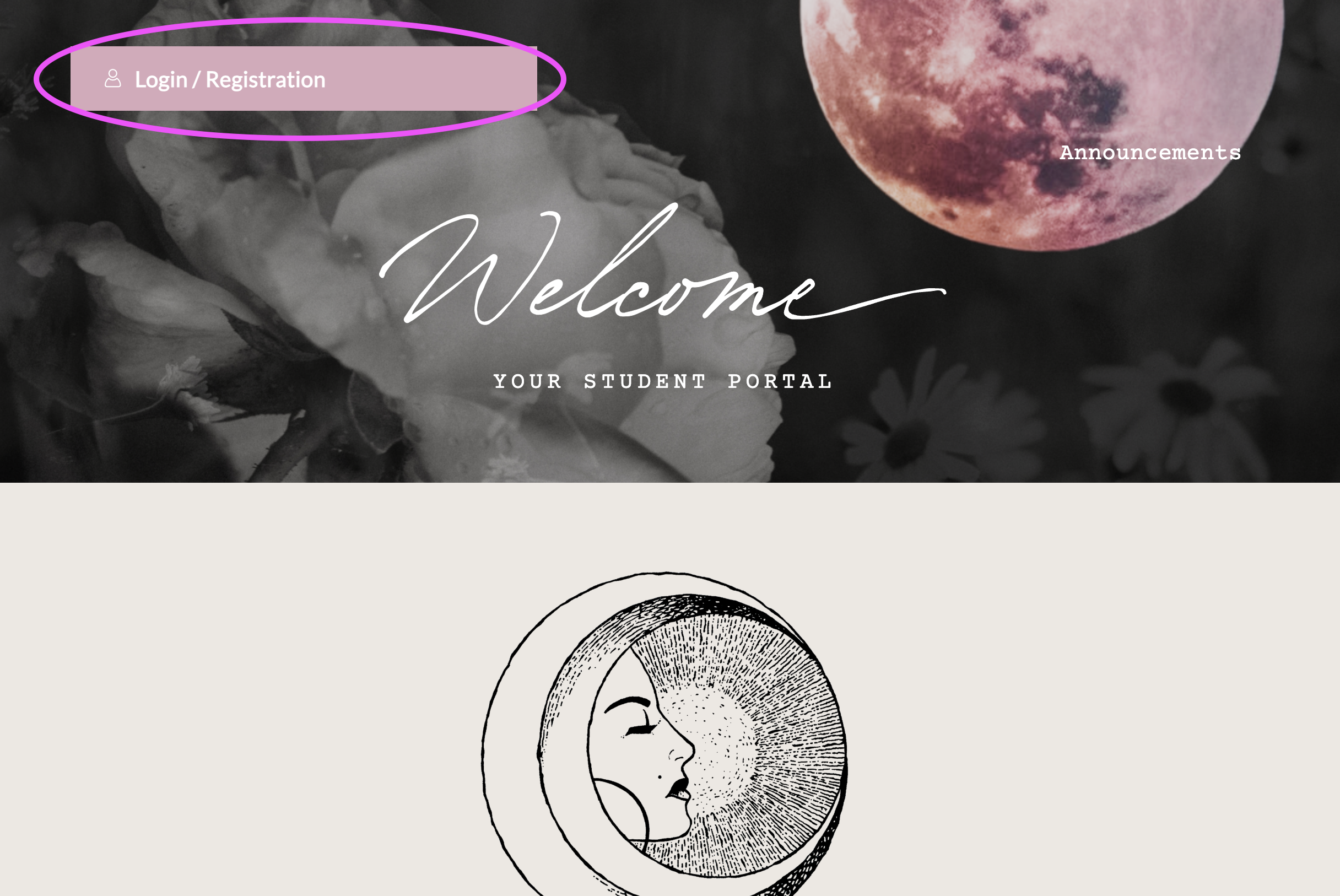 Either Log In or Register an Account with Pink Circle Around The Login Option