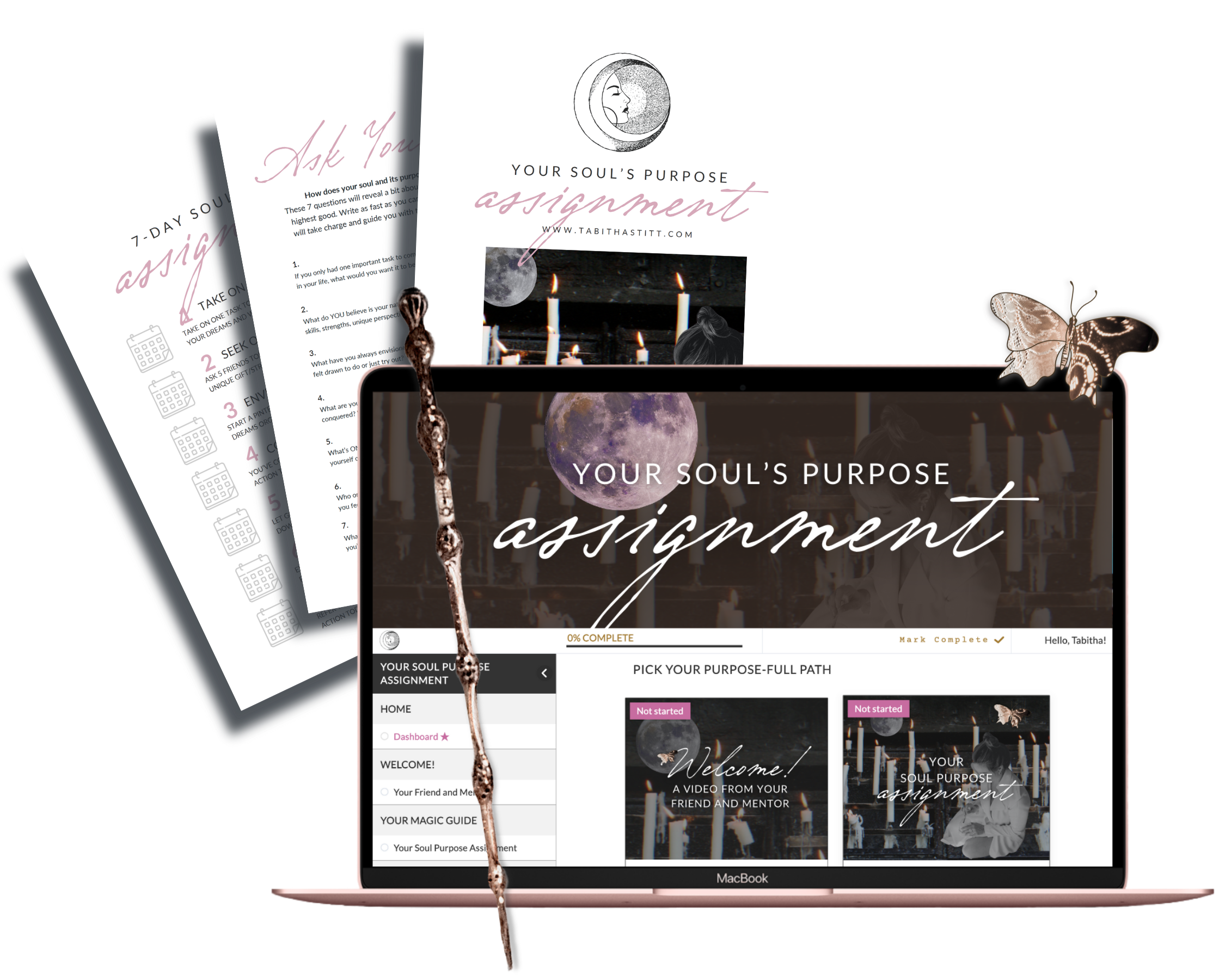 Your Soul's Purpose Assignment Free Open Course from Tabitha Stitt The Self-Help Psychic with a Butterfly for Transformation