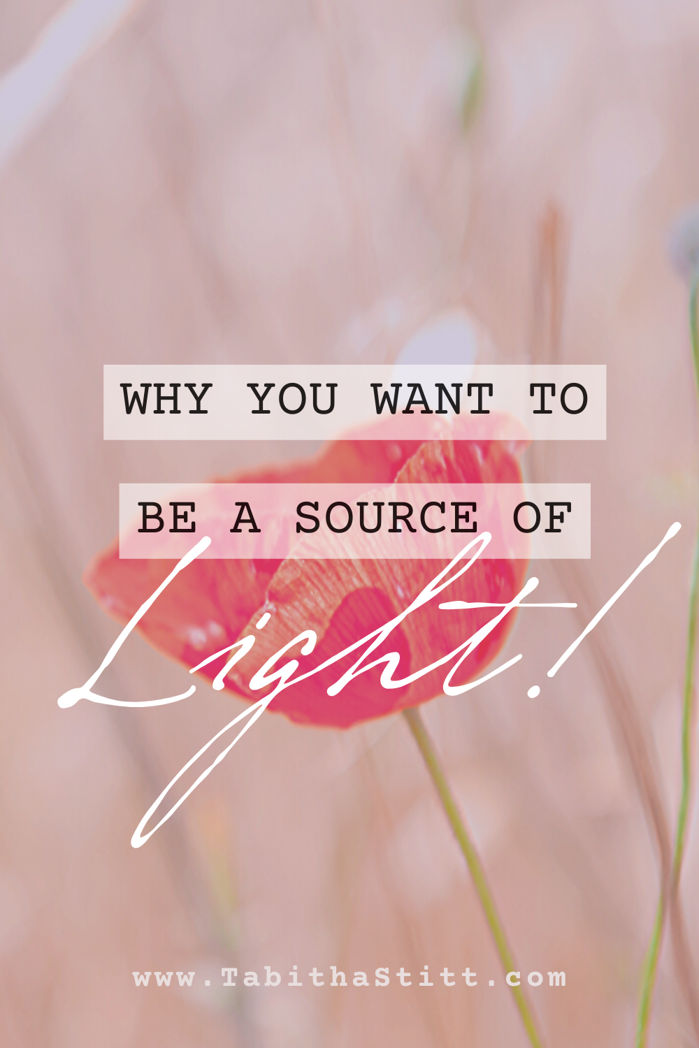 Why You Want to be a Source of Light by Tabitha Stitt The Self Help Psychic with a Red Poppy Flower for Self-Transformation