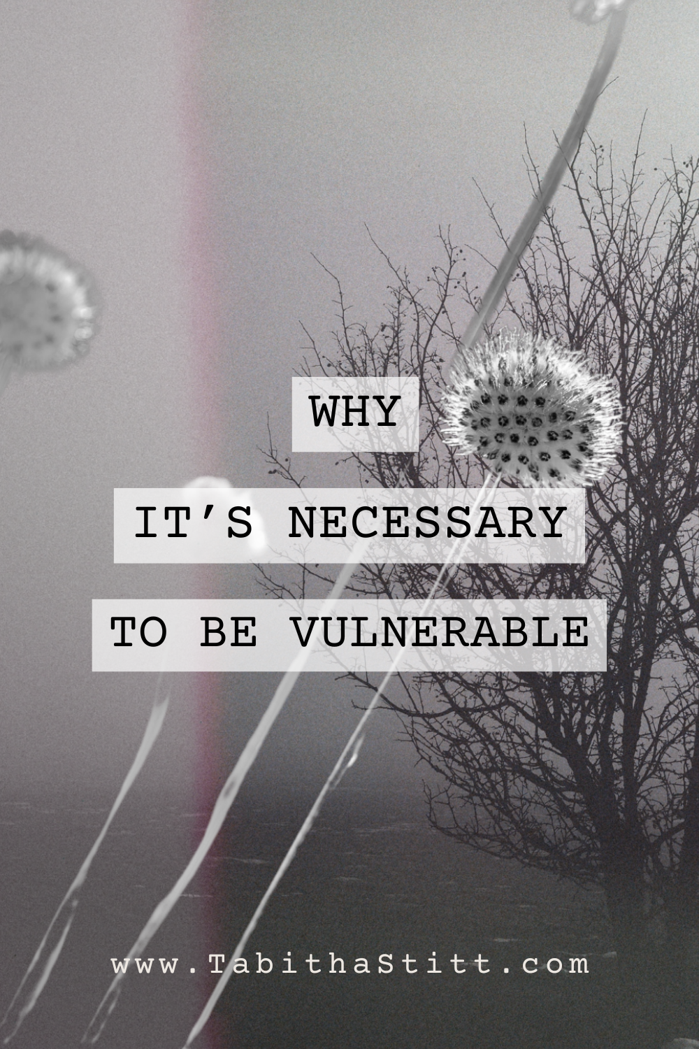 Why It's Necessary to Be Vulnerable, a podcast episode with Tabitha Stitt, The Self Help Psychic using flowers to show growth and vulnerability