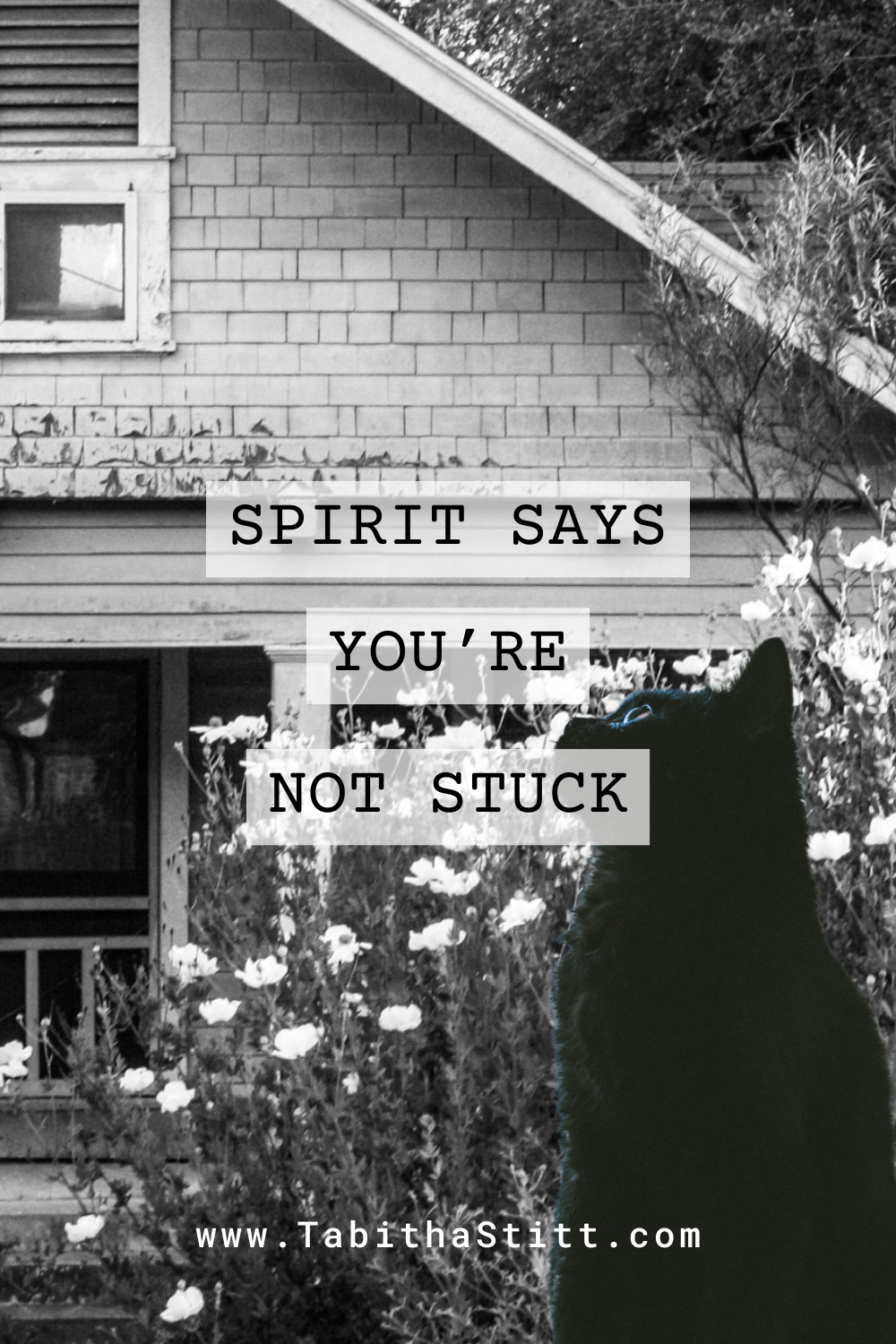 Spirit Says You're Not Stuck, on The Self-Help Psychic podcast with Tabitha Stitt, with a black cat looking confident