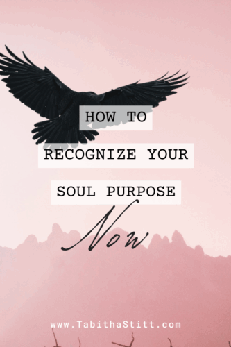 How to Recognize Your Soul Purpose Now on The Self Help Psychic Podcast with a pink background and flying crow for emotional support and guidance
