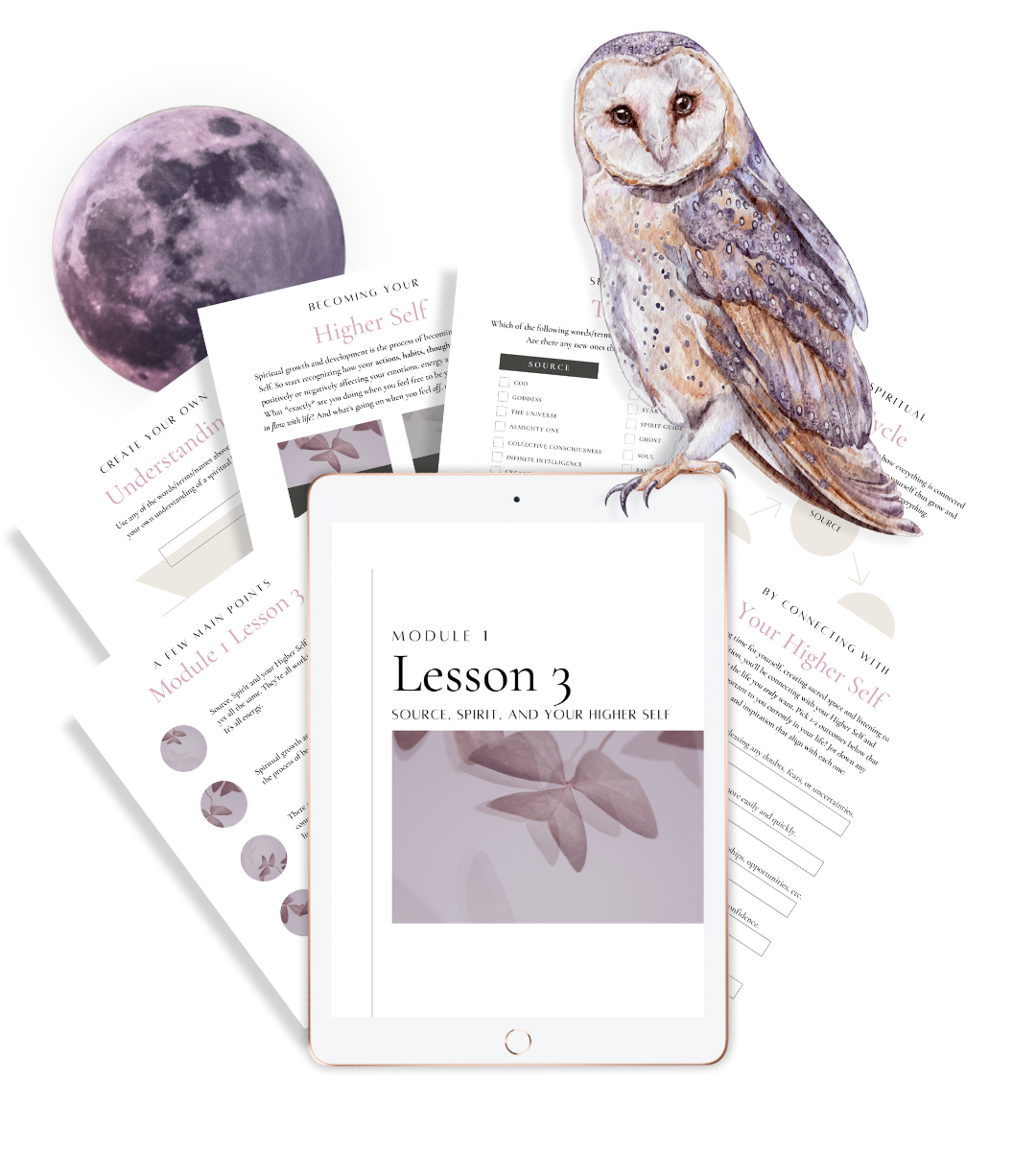 Spiritual 101 Course Sample from Intuitive Tools Module with an Owl and Full Moon for Sacred Wisdom