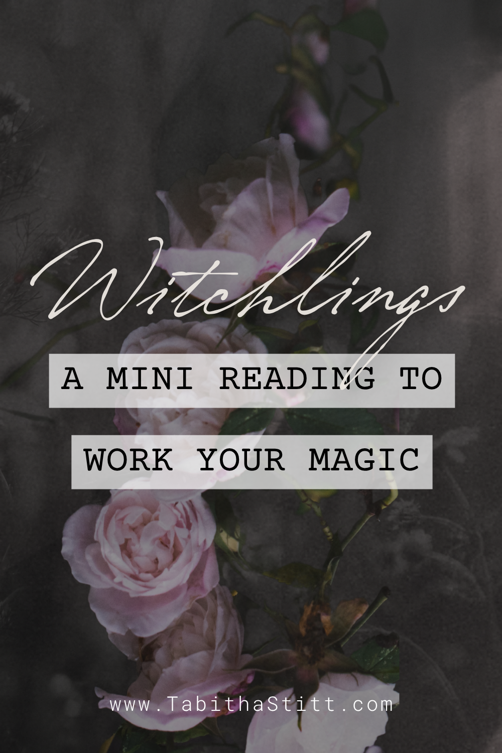 Witchlings A Mini Reading to Work Your Magic using Paulina Fae's oracle cards