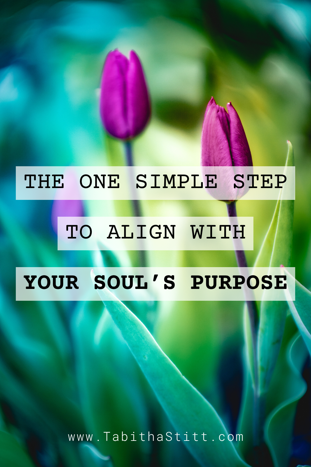 the one simple step to align with your souls purpose with pink tulip flowers for spiritual and personal growth and love
