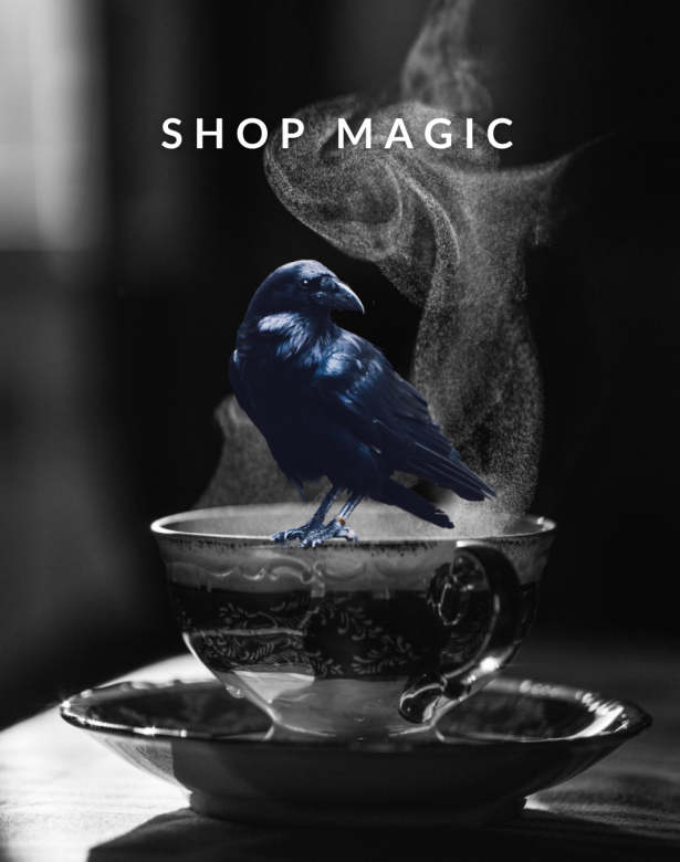 Shop magic for your soul with a crow on a teacup to guide the way